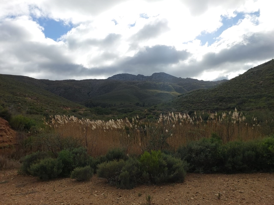 7 Bedroom Property for Sale in Ladismith Rural Western Cape